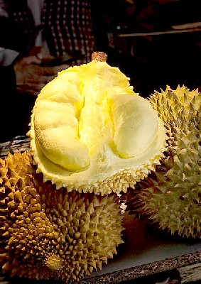 Durian Fruit in Yannan